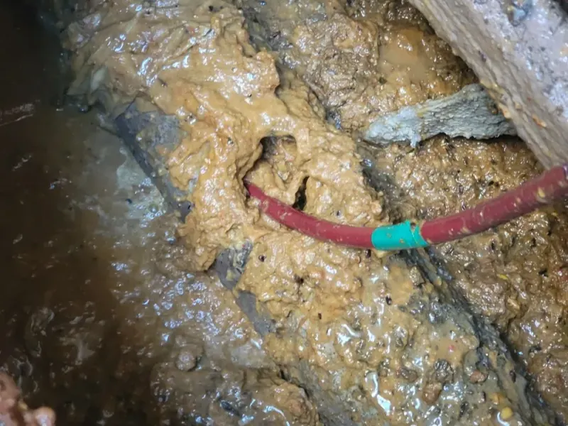 금산 인삼시장 주변 상가 하수구 막힘, 금산읍 점포 관리법